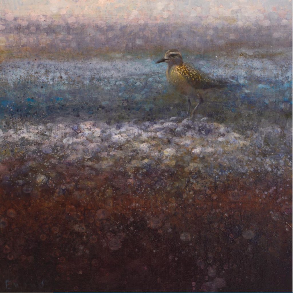 Golden Plover<br>
oil on linen<br>
27.5 x 27.5 inches<br>
SOLD