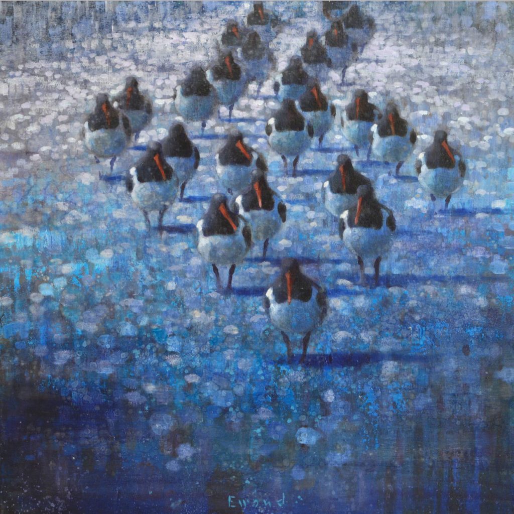 Resting Oyster Catchers<br>
oil on linen<br>
39.5" x 39.5"<br>
SOLD