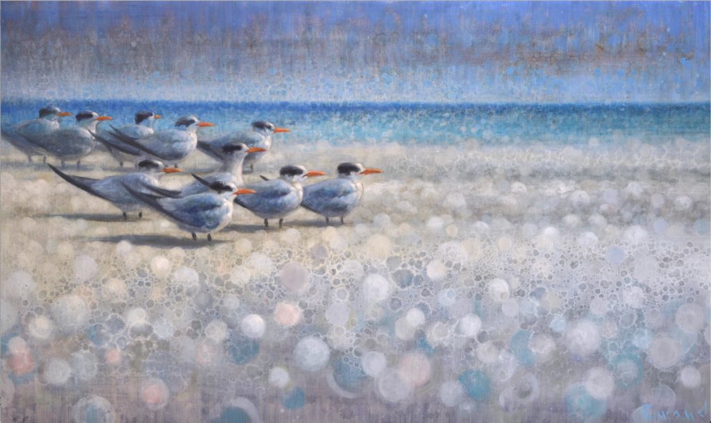 Resting Royal Terns<br>
oil on linen<br>
35.5" x 59"