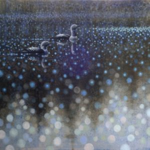 Ewoud de Groot, Pacific Loons, oil on linen, 51 x 51 inches, SOLD
