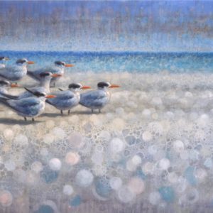 Ewoud de Groot, Resting Royal Terns, oil on linen, 35.5 x 59 inches