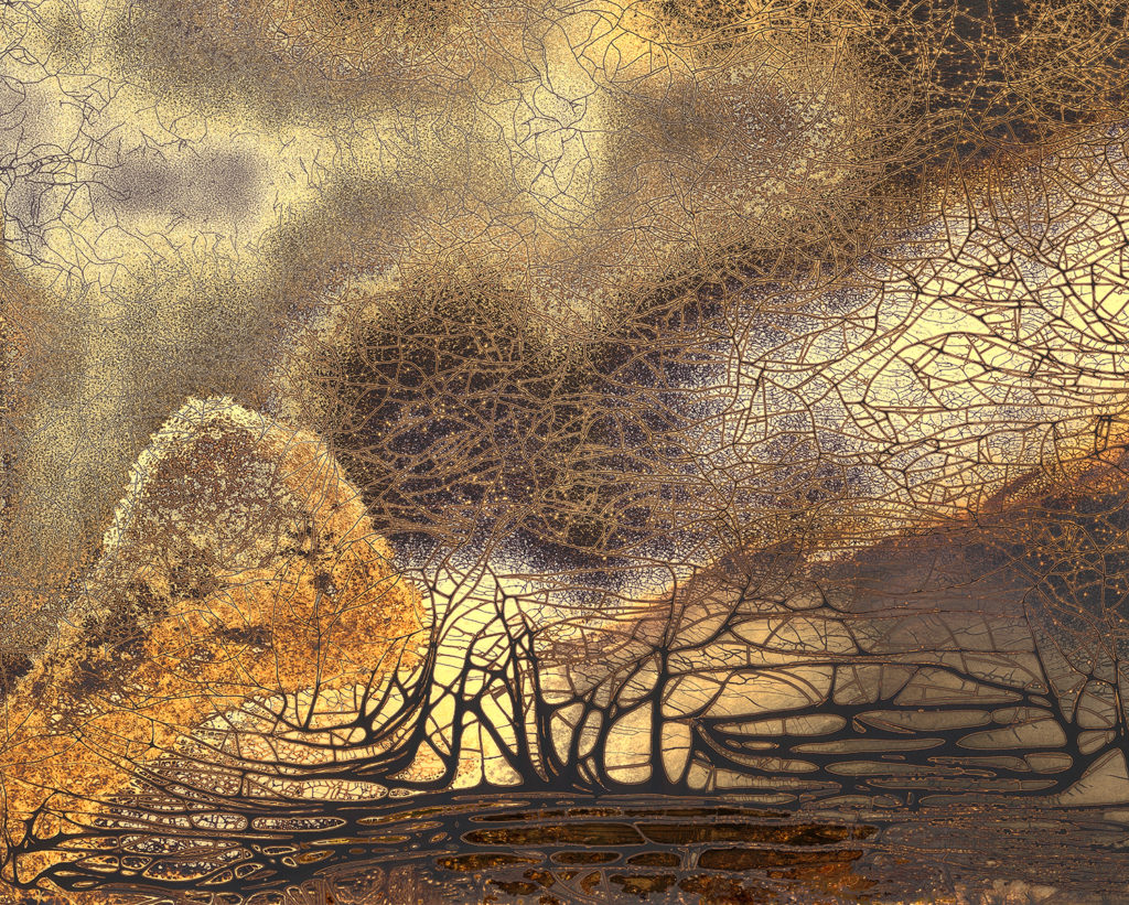 Nolan Preece, Highlands, chemigram, 16 x 20 inches (other sizes available)