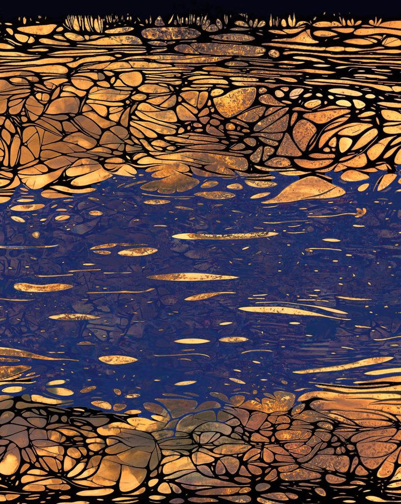 Nolan Preece, Pool, chemigram, 20 x 16 inches (other sizes available)