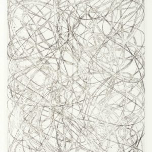 Arnoldi, Charles_Untitled CA16-711A_etching 3 of 10_7.25 x 5.5 inches_$1,800