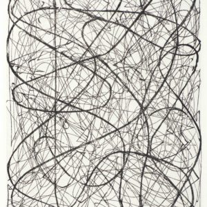 Arnoldi, Charles_Untitled CA16-712_etching 3 of 14_8 x 6 inches_$1,800