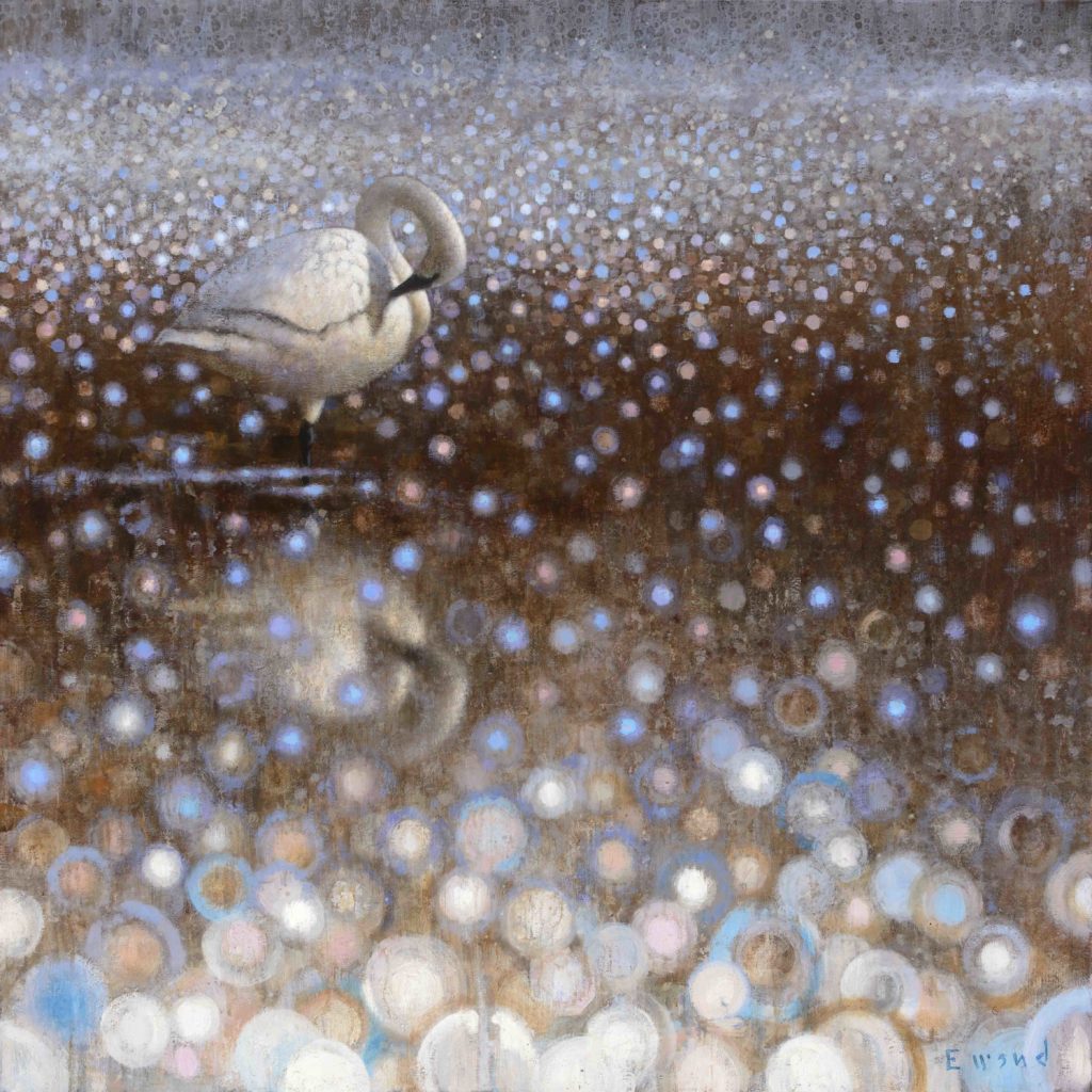 Preening Swan, oil on linen, 55 x 55 inches