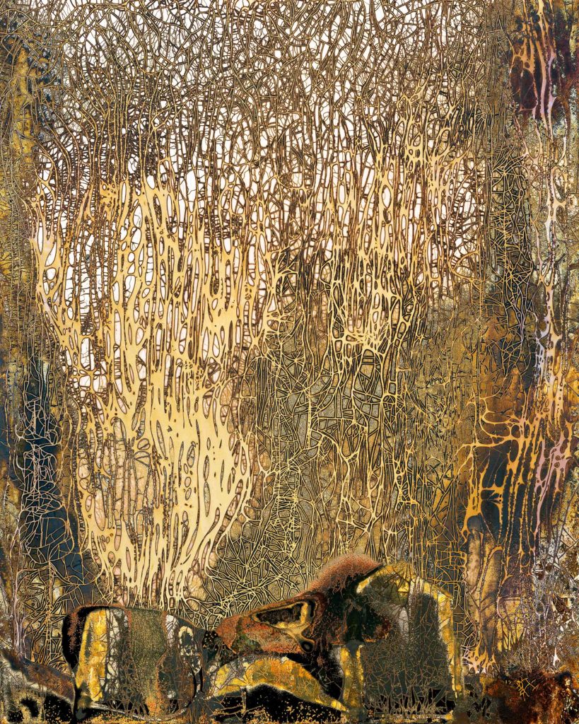 Nolan Preece, Salix, chemigram, 20 x 16 inches (other sizes available)