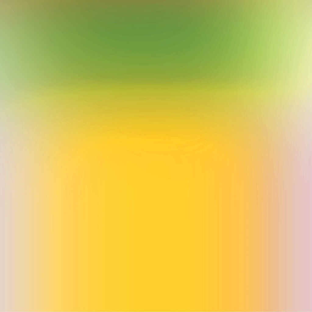 Bill Kane<br>
EM2020-2<br>
digital pigment on paper<br>
20" x 20"