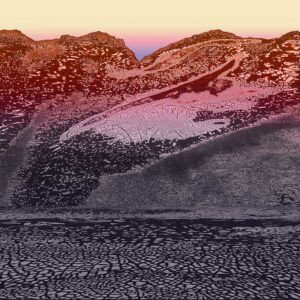 Owens Valley, chemigram, 16 x 26 inches