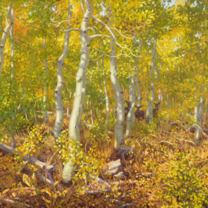 In the Comfort of an Aspen Grove, oil on linen, 24 x 24 inches