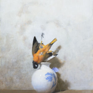 Oriole and Chicory, oil on board, 14 x 11 inches, $6,000