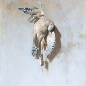 Still Life with Sharp Shinned Hawk and Deer Mouse, oil on board, 17.5 x 14 inches, $9,500