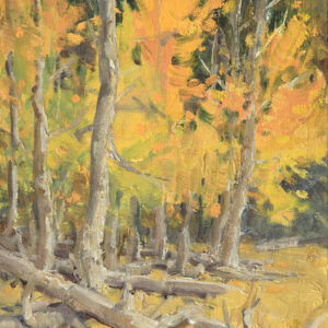 Jean LeGassick, Afternoon Aspen Glow, oil on canvas on board, 8 x 6 inches, SOLD