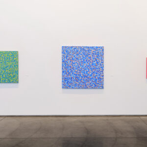 Farber - Installation - 01