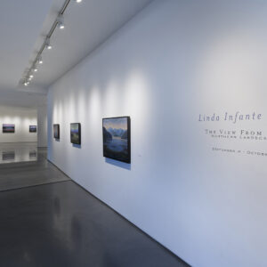 Infante Lyons Installation - 01