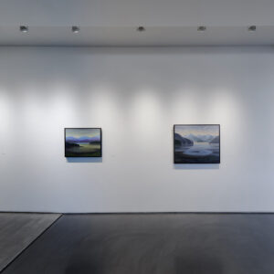 Infante Lyons Installation - 02