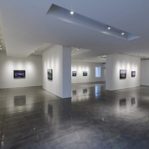 Infante Lyons Installation - 03