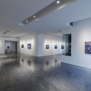 Infante Lyons Installation - 04