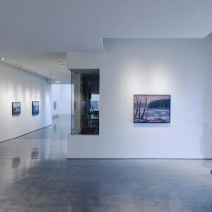 Infante Lyons Installation - 05