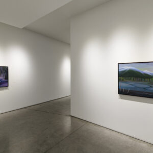 Infante Lyons Installation - 09