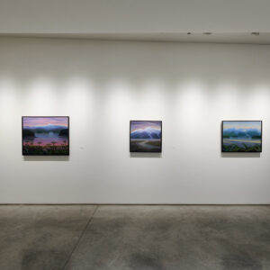 Infante Lyons Installation - 10