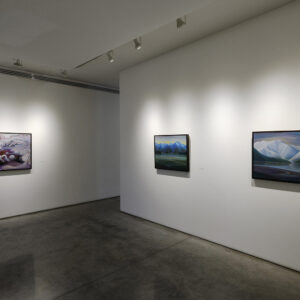 Infante Lyons Installation - 11