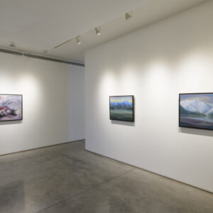 Infante Lyons Installation - 12