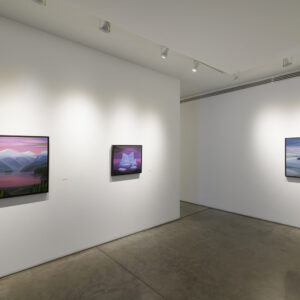 Infante Lyons Installation - 15