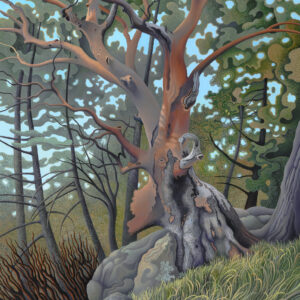 Arbutus Menziesii, oil on linen, 34 x 26 inches, SOLD