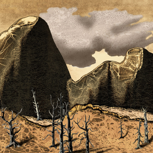 Father and Son Rock, chemigram, 16 x 20 inches, SOLD