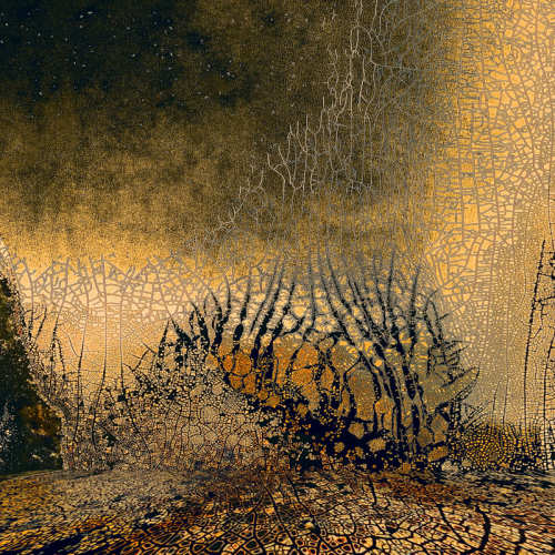 Pot Creek, chemigram, 16 x 24 inches, $1,400