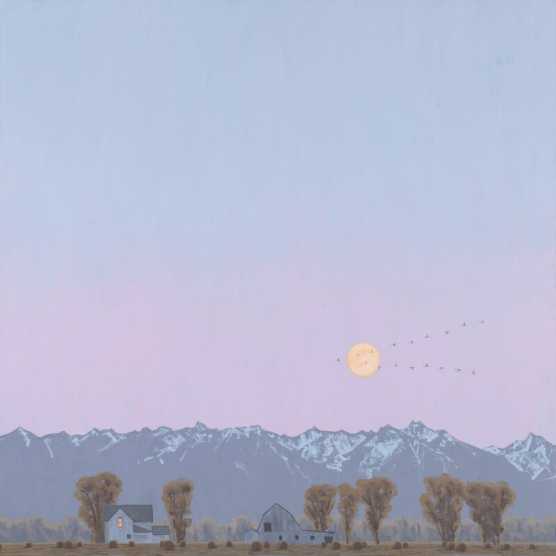 Andrew Bolam, Homecoming