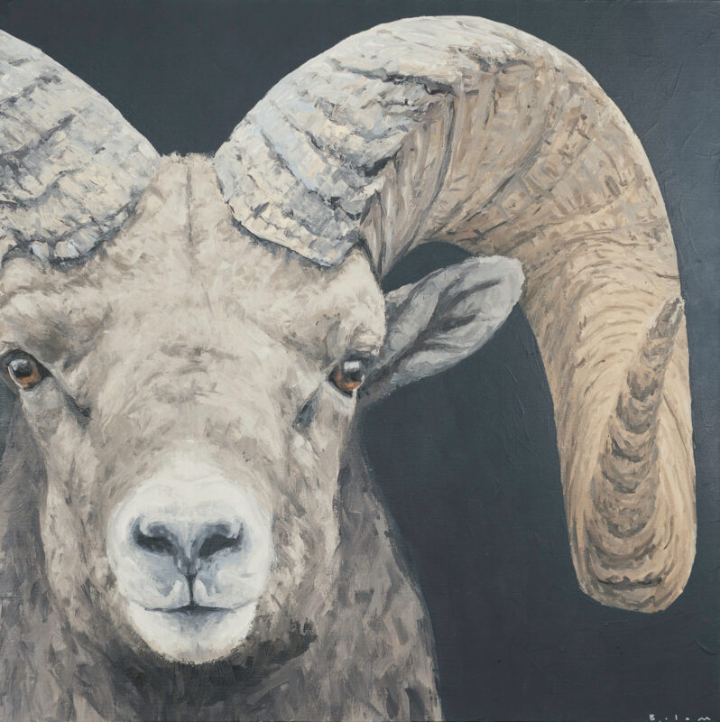 Andrew Bolam, Obstinate